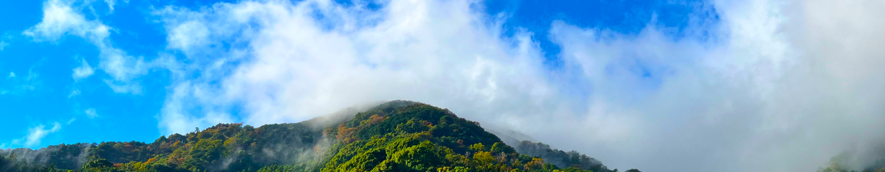 朝霧に包まれた城山